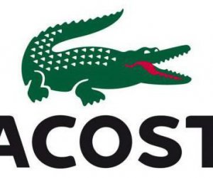 Lacoste Essential: ���� �������, ������ � �������
