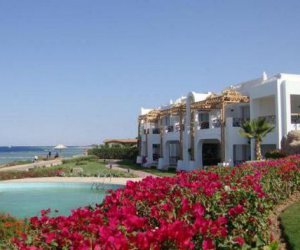 Melia Sharm Hotel 5 *: ������, ����