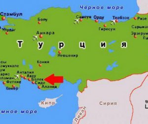 ������ Belkon Hotel 4 *, �����: ������ �������, ����, �������